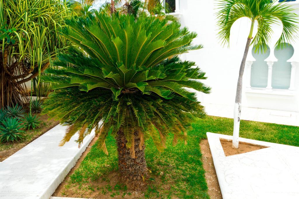 Hotel Aldea Del Bazar & Spa Puerto Escondido  Exteriér fotografie